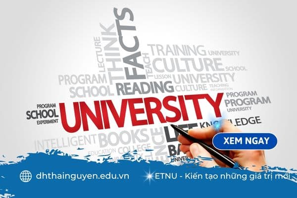 Liên thông đại học cần những gì? Tất tần tật điều kiện và thủ tục bạn nên biết