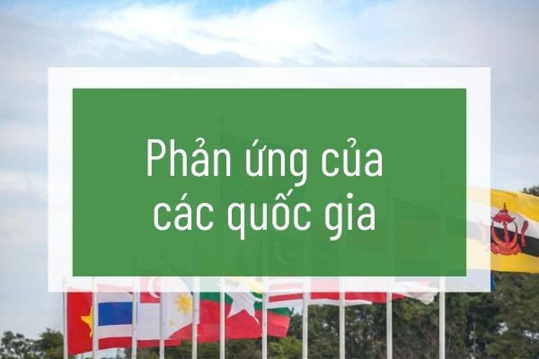 Phản ứng của các quốc gia về giáo dục trực tuyến