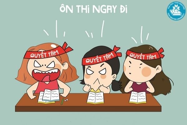 con gái khối D nên học ngành gì