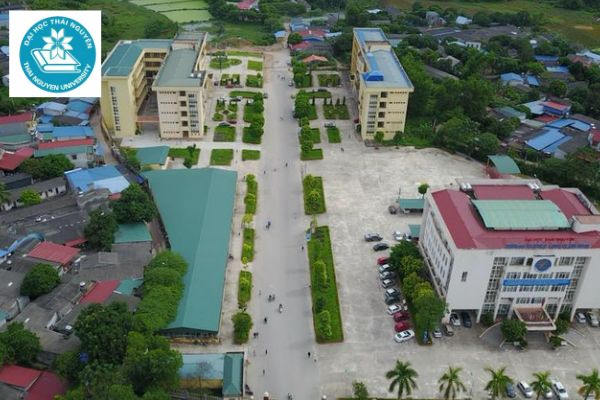 d07 gồm những môn nào
