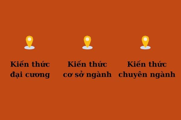 cac nganh trong quan tri kinh doanh