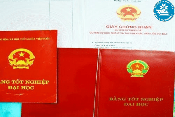 lien thong dai hoc