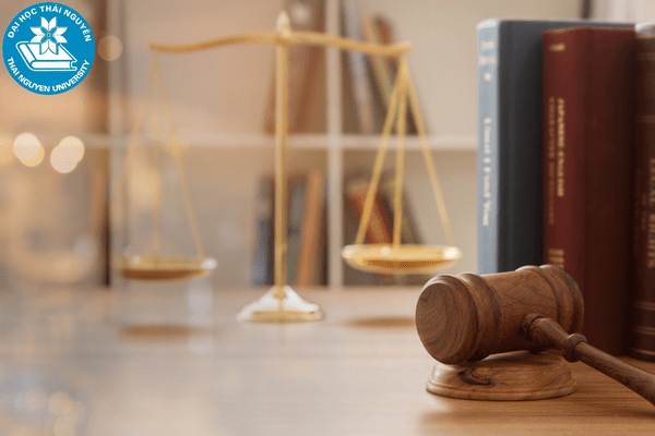 nganh luat kinh te hoc nhung mon gi 