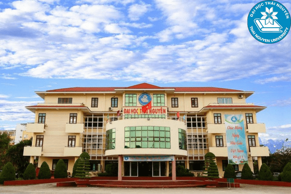 cac truong dai hoc co nganh digital marketing