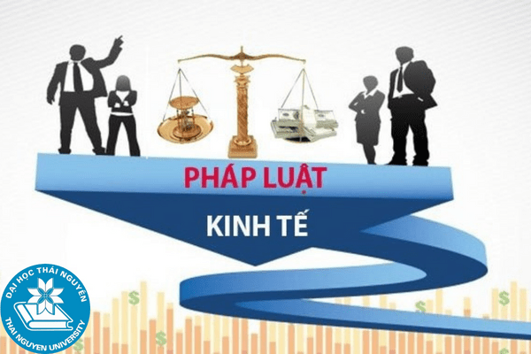 luat kinh te luong bao nhieu