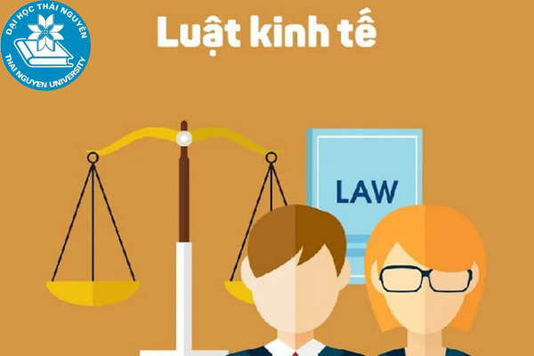 luat kinh te luong bao nhieu