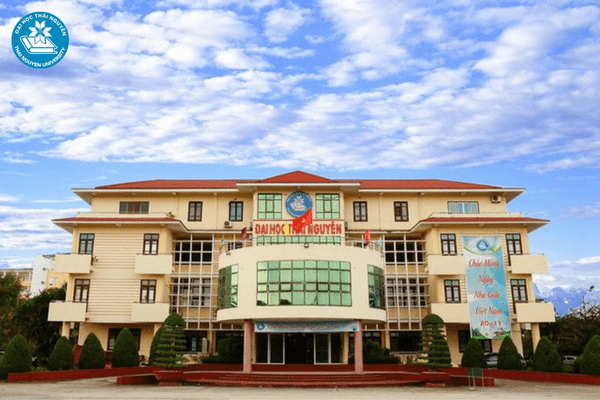 luong cua nganh thuong mai dien tu