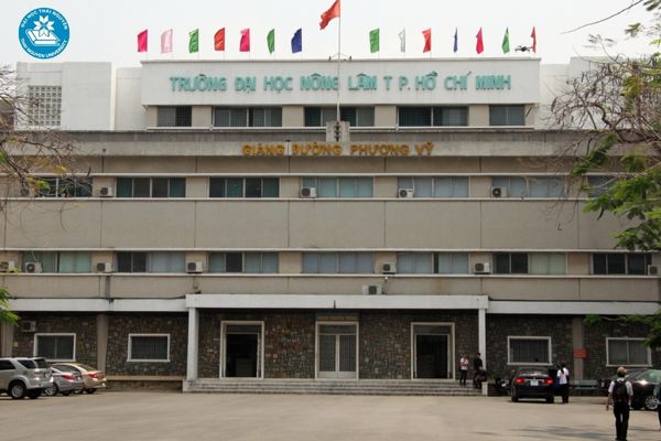 cac truong dai hoc top dau tphcm