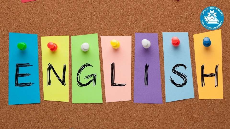 Tại sao nên học ngôn ngữ Anh hệ từ xa tại Đại học Thái Nguyên?