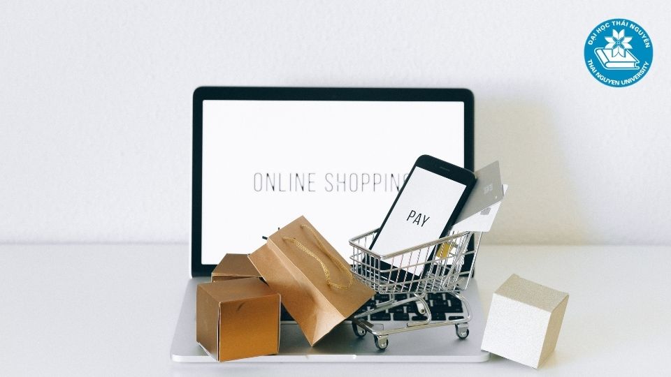 Một vài ví dụ về ngành thương mại điện tử