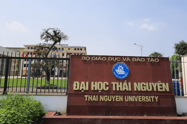 nganh thuong mai dien tu tieng anh la gi