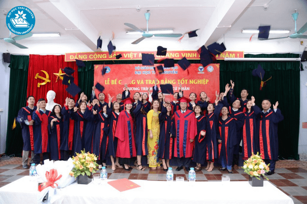 nganh thuong mai dien tu la gi