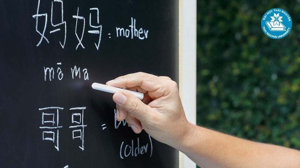 Ngôn ngữ Trung là ngành học đa dạng việc làm