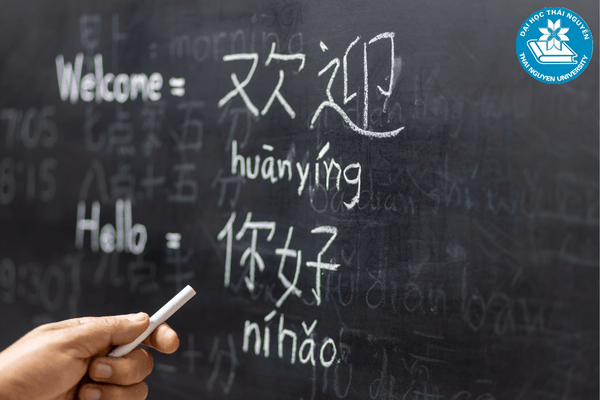Ngành ngôn ngữ Trung là gì?