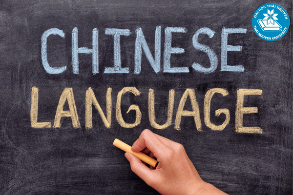 Thực trạng ngành ngôn ngữ Trung hiện nay