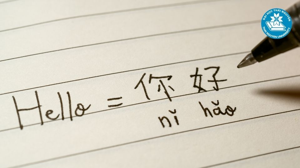 Học đại học từ xa ngôn ngữ Trung ra trường sẽ làm gì, ở đâu?