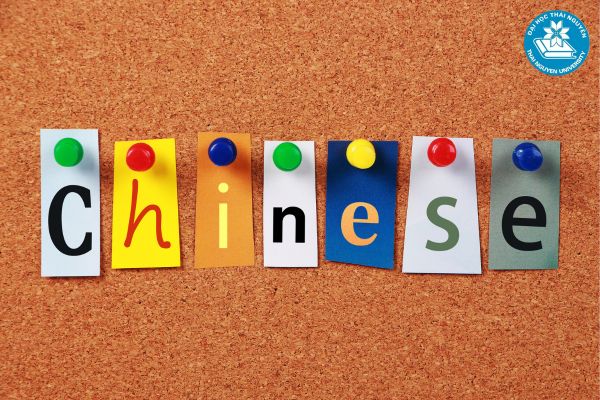 Sau khi học ngành ngôn ngữ Trung có thể làm việc gì?