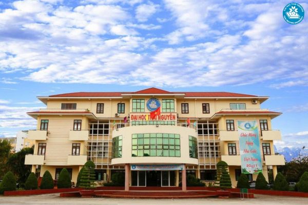 Học trực tuyến ngành Thương mại điện tử có điểm gì nổi bật