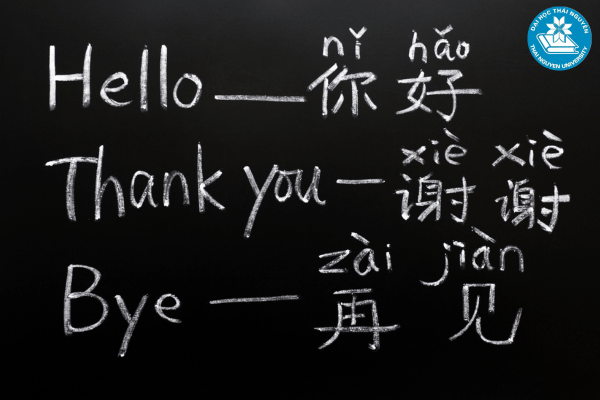 Cơ hội việc làm ngành Ngôn ngữ Trung