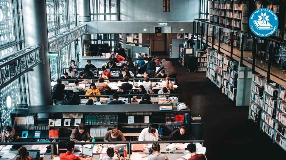 Học ngành ngôn ngữ Trung tại Đại học nào?