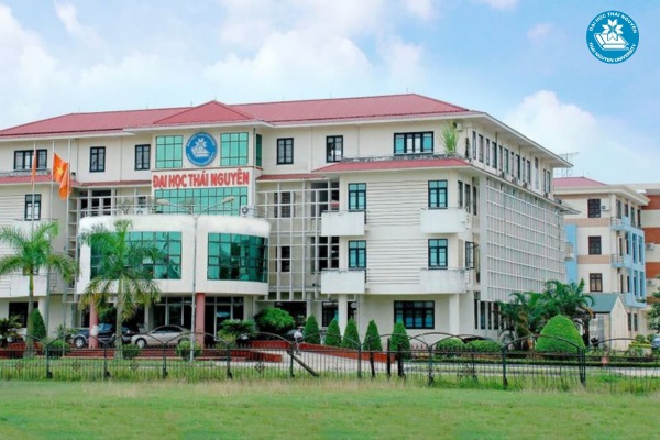 lien thong trai nganh ngon ngu anh