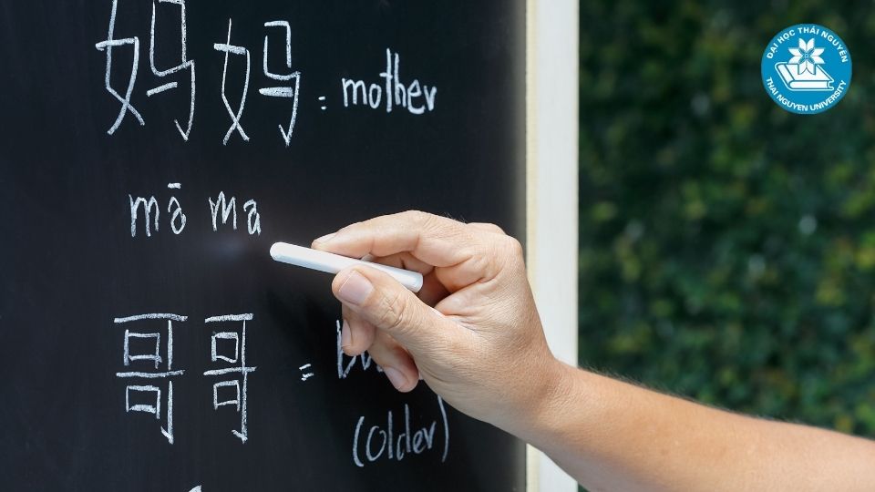 Xu hướng công việc của ngành ngôn ngữ Trung hiện nay