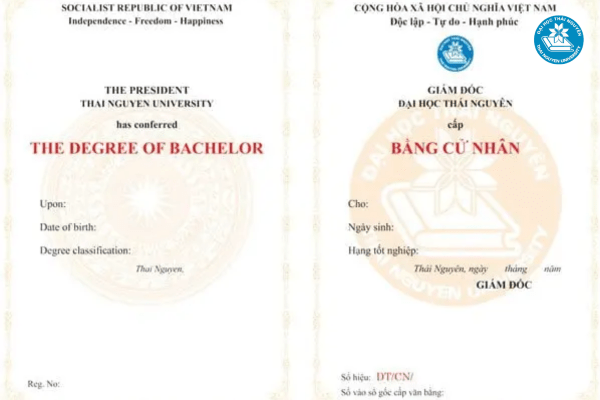 Tỷ lệ sinh viên có việc làm sau tốt nghiệp ngành ngôn ngữ trung