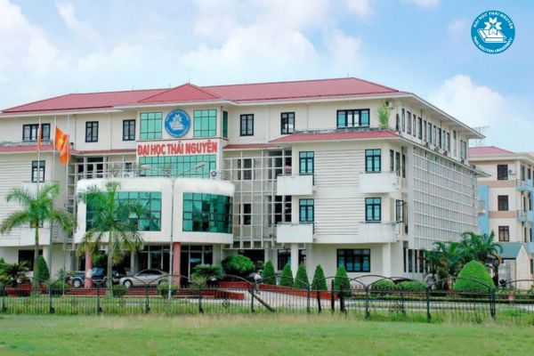 Học công nghệ thông tin hệ đào tạo từ xa có tốt không?