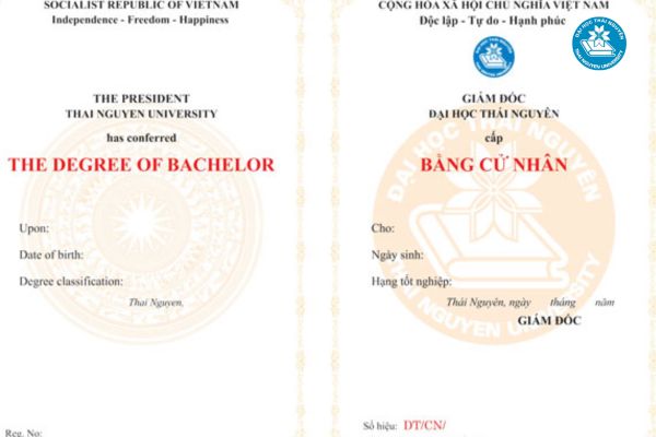 Nên học bằng cử nhân luật kinh tế ở đâu?