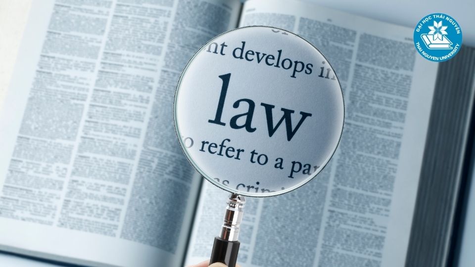 Danh sách các trường đào tạo ngành luật kinh tế chất lượngDanh sách các trường đào tạo ngành luật kinh tế chất lượng