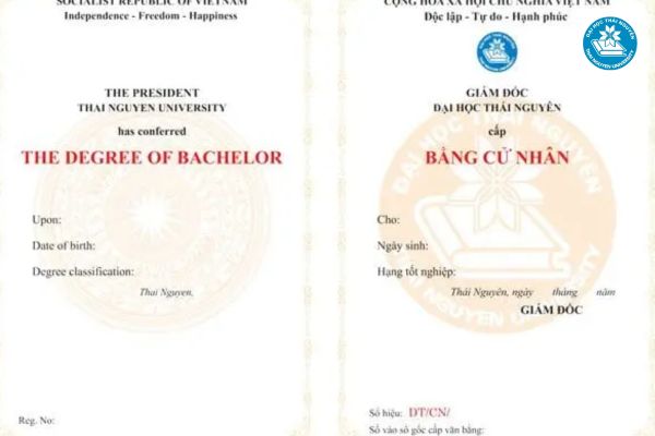 Nên học văn bằng thứ 2 ở đâu? 