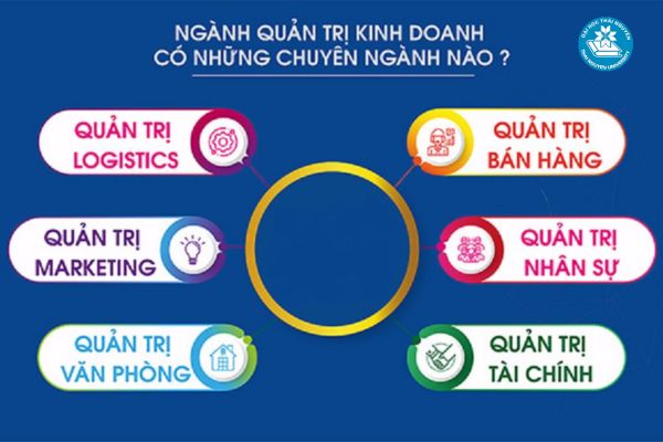 Các chuyên ngành của ngành quản trị kinh doanh