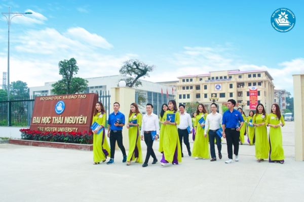 Học Đại học hệ đào tạo từ xa ngành kế toán