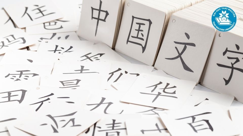 Ngành ngôn ngữ Trung là gì ? 