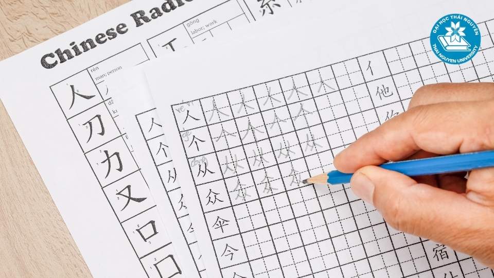 Chương trình văn bằng 2 ngành ngôn ngữ Trung hệ đào tạo từ xa