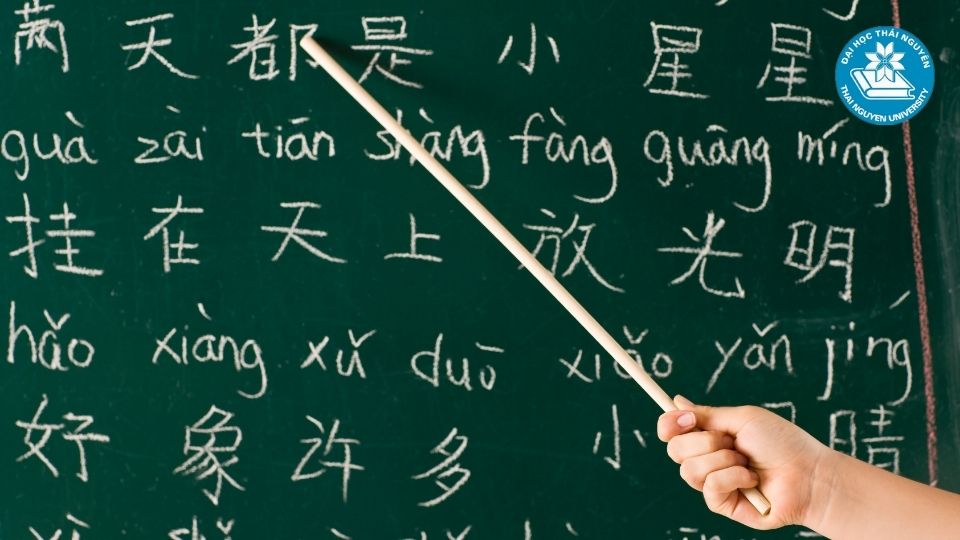 Học ngôn ngữ Trung hệ từ xa tại Đại học Thái Nguyên?