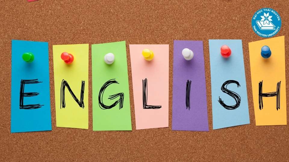 Cơ hội nghề nghiệp cho sinh viên sau tốt nghiệp