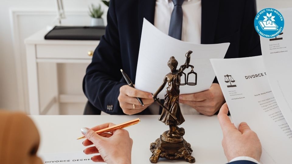 Học chương trình Đào tạo Luật Kinh tế ra trường làm gì? 