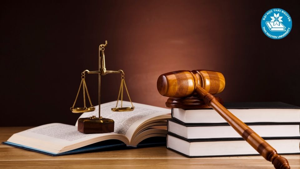 Học Luật Kinh tế ra làm gì?