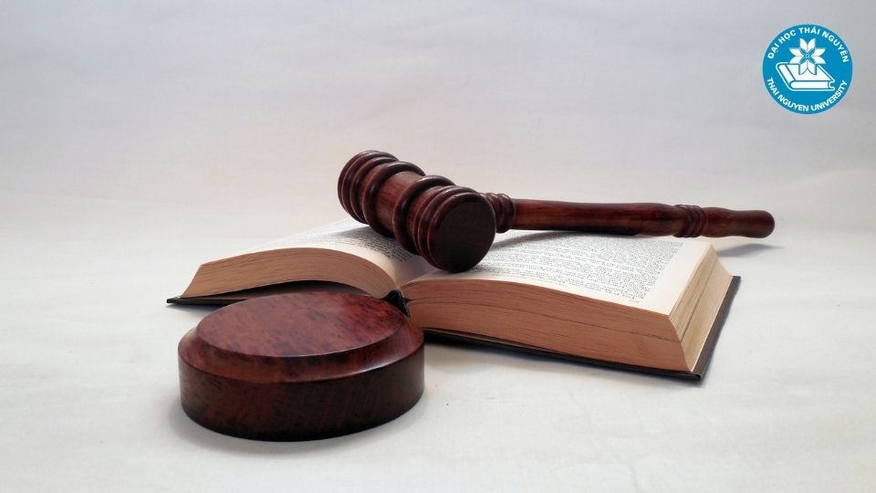 Luật Kinh Tế là gì? Học gì trong ngành này?