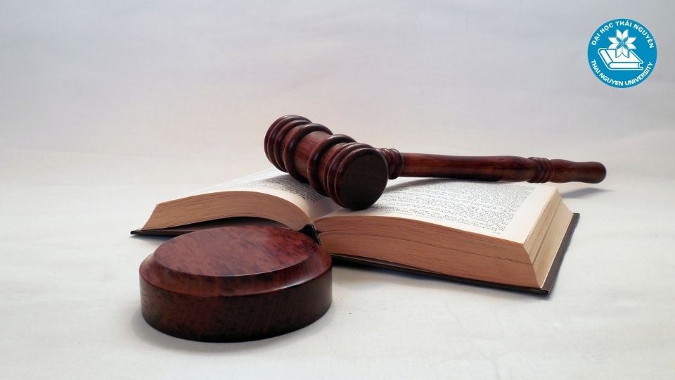 Công việc sau tốt nghiệp ngành Luật Kinh tế