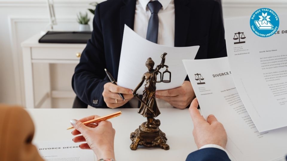 Luật Kinh tế là ngành gì?