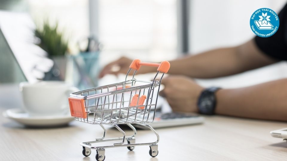 Thị trường thương mại điện tử Việt Nam phát triển mạnh mẽ