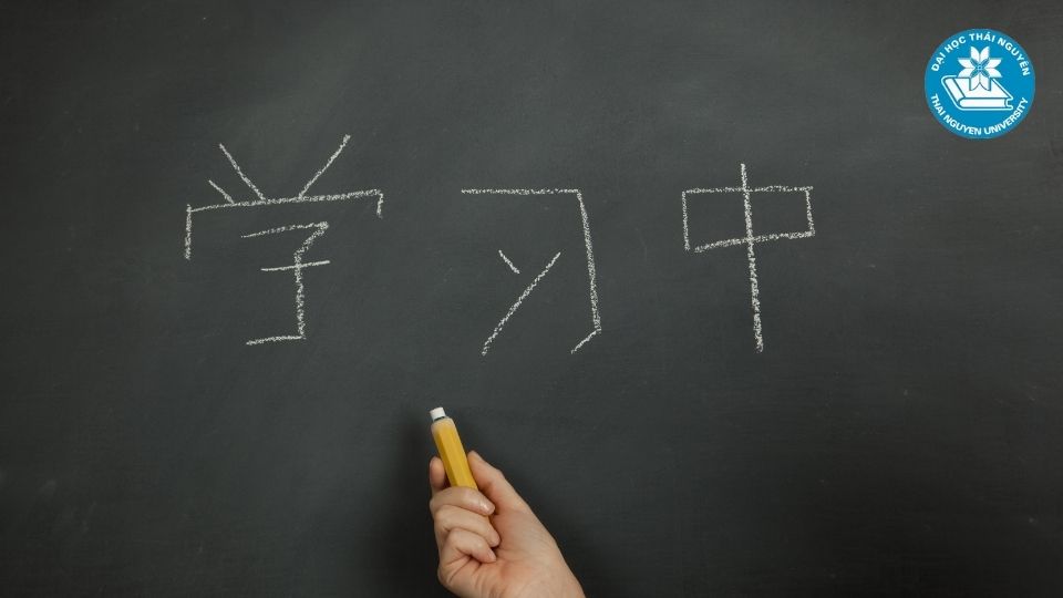 Nội dung chương trình đào tạo Ngôn ngữ Trung hệ từ xa