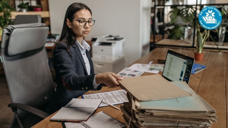 Các môn học chuyên ngành (Định hướng nghề nghiệp)