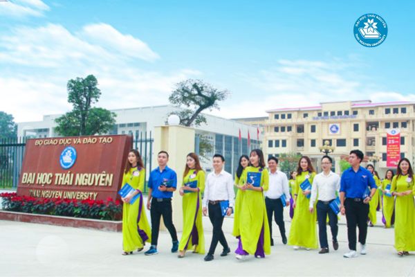 Học kế toán hệ đào tạo từ xa