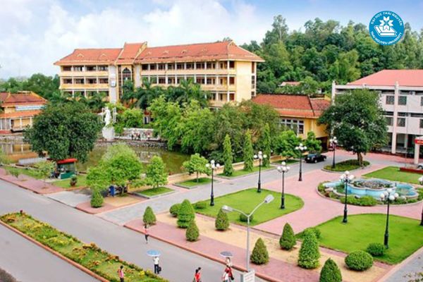 Học ngành Ngôn ngữ Trung theo hình thức đào tạo từ xa