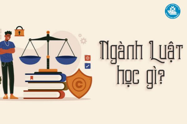 Những thách thức khi học ngành luật
